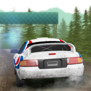 Rally Champion Game